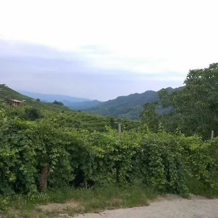 Lasar Апартаменты